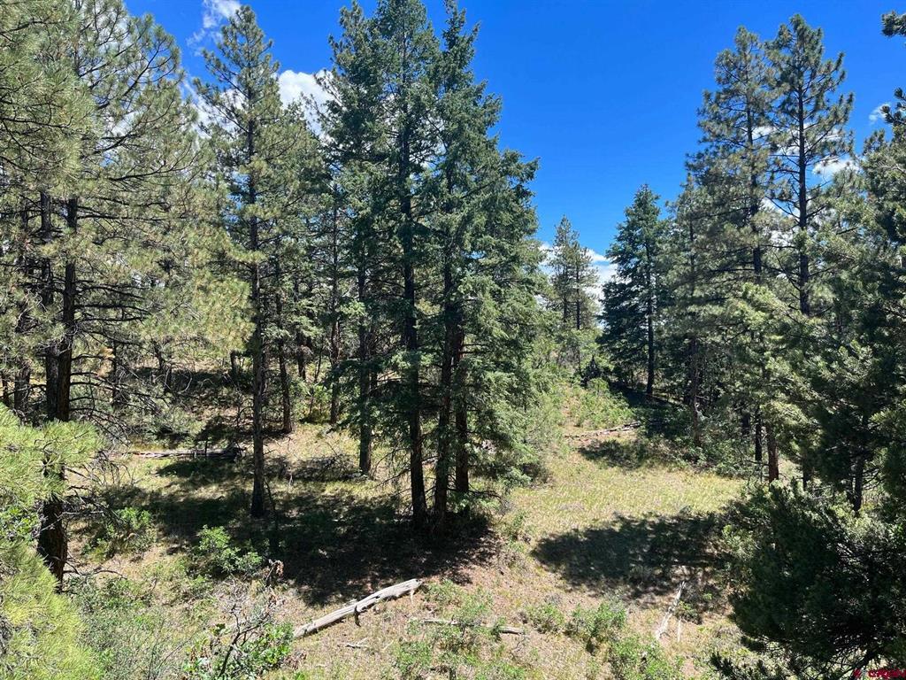 853 Ranchland Drive Property Photo