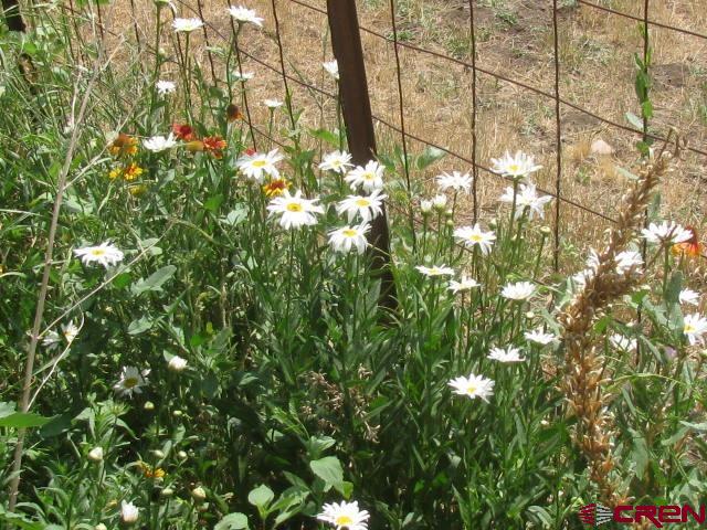 106 Apple Court Property Photo 9