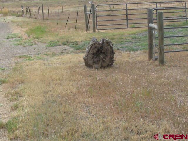 106 Apple Court Property Photo 26