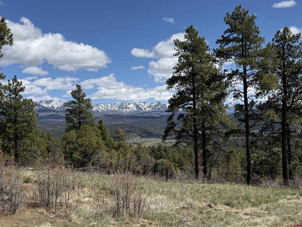 1140 Lodgepole Drive Property Photo 35