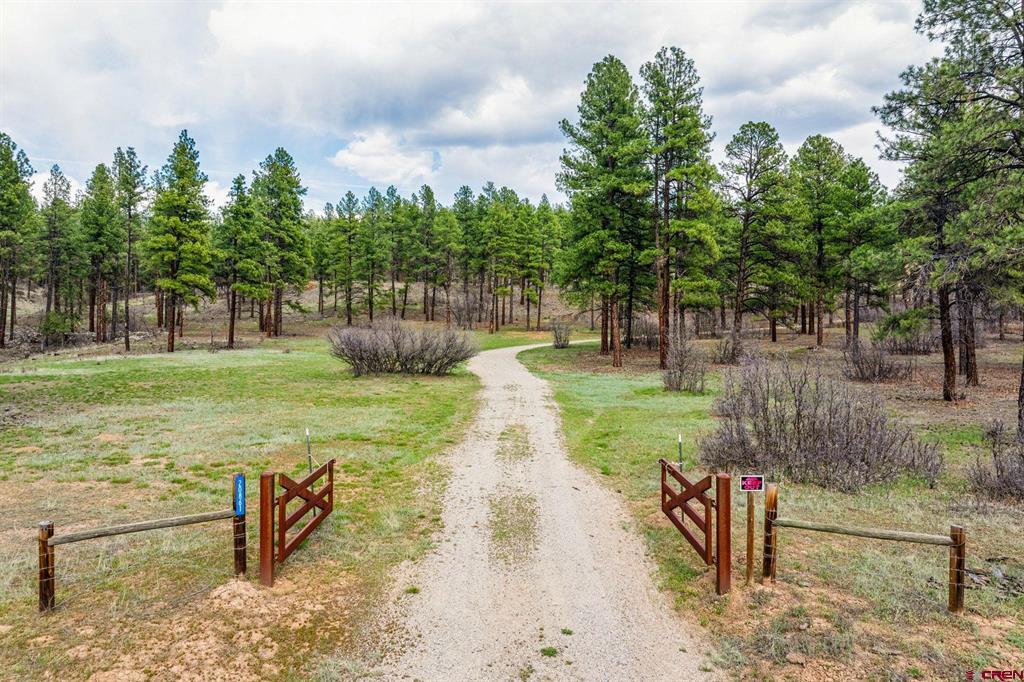 20861 Hwy 160 Property Photo 3
