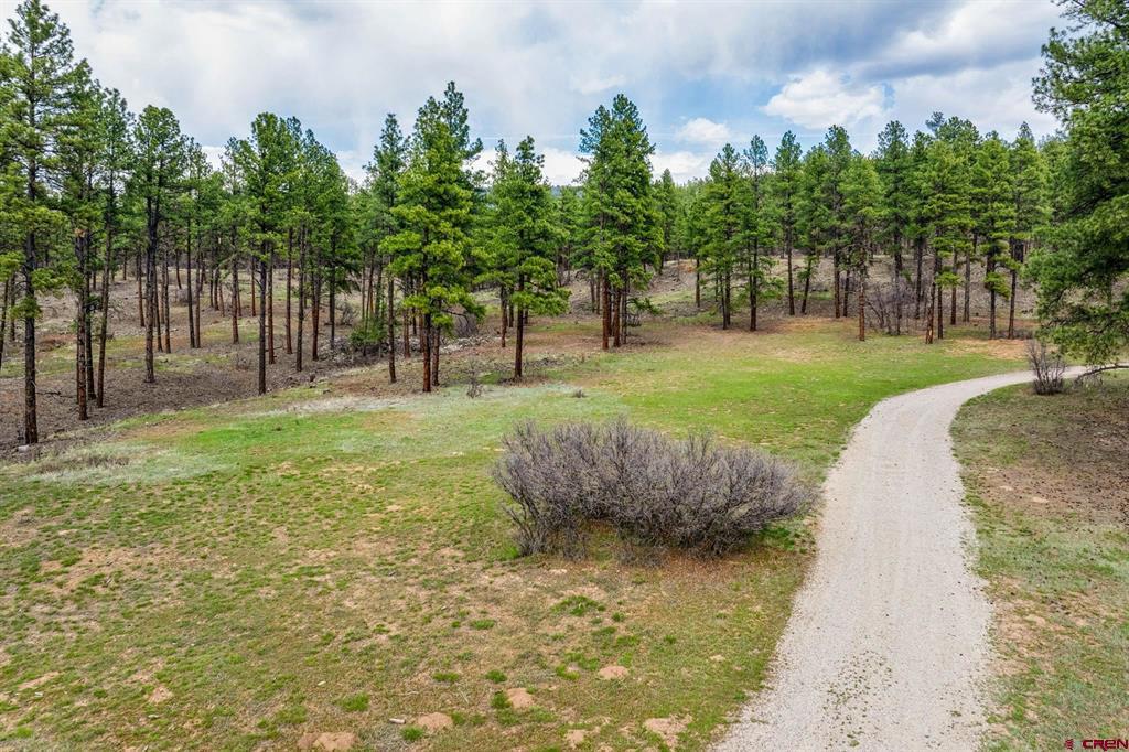 20861 Hwy 160 Property Photo 4