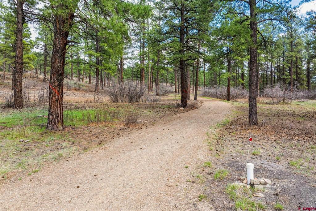 20861 Hwy 160 Property Photo 5