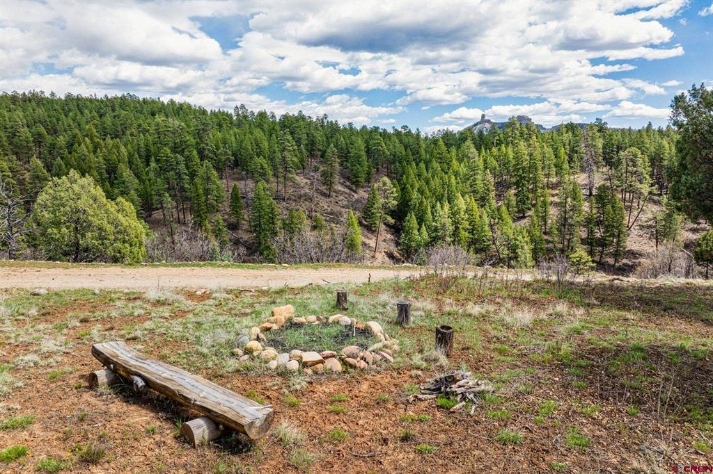 20861 Hwy 160 Property Photo 9