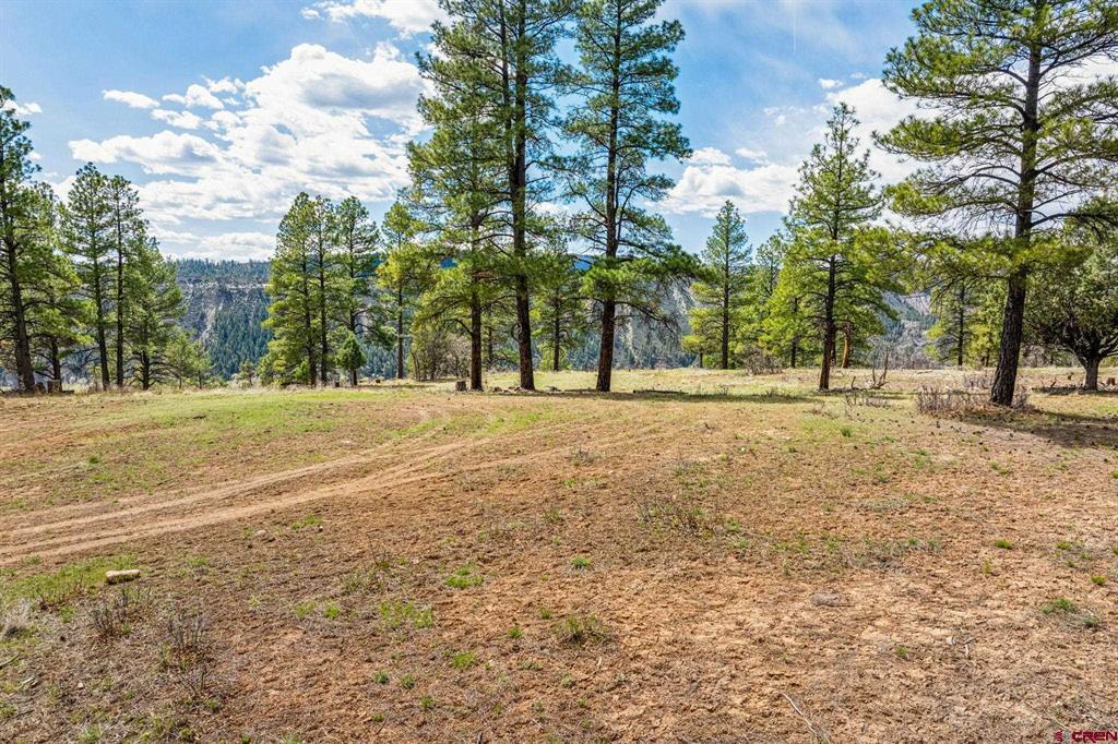 20861 Hwy 160 Property Photo 10