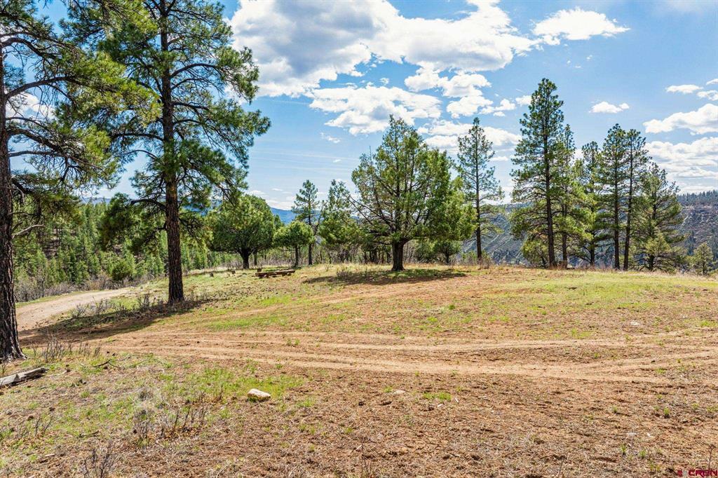 20861 Hwy 160 Property Photo 12