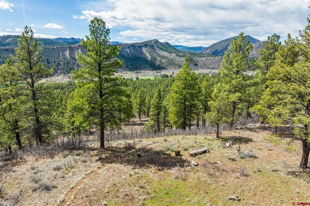 20861 Hwy 160 Property Photo 13