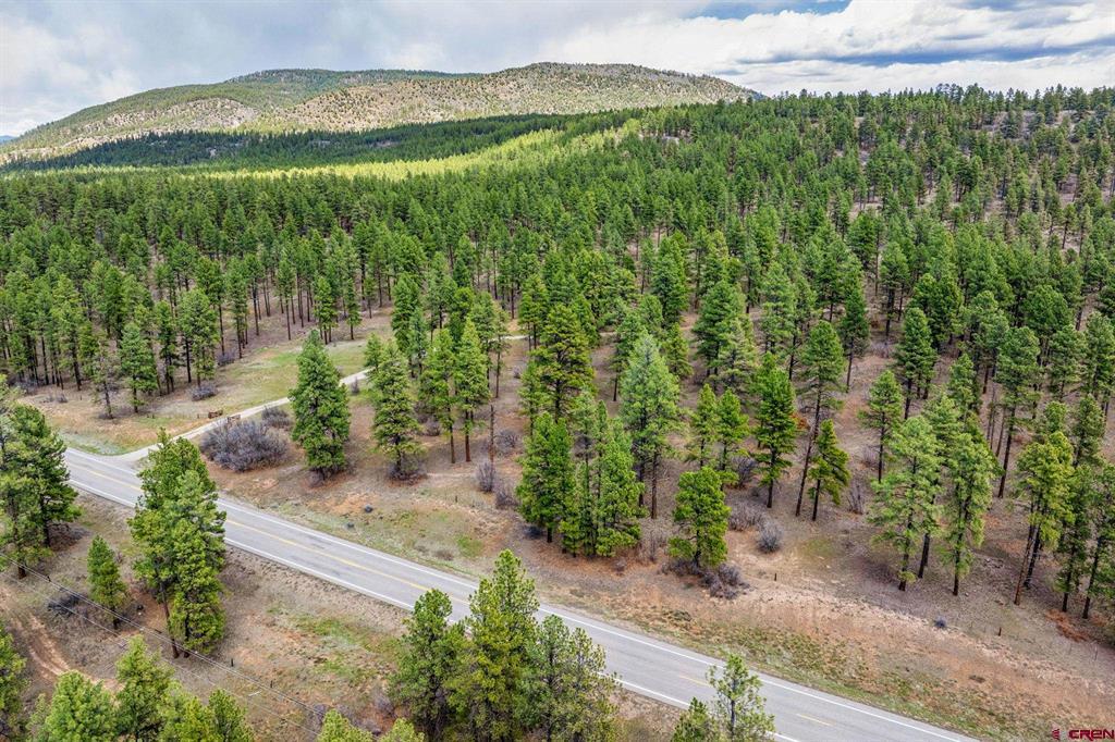 20861 Hwy 160 Property Photo 15