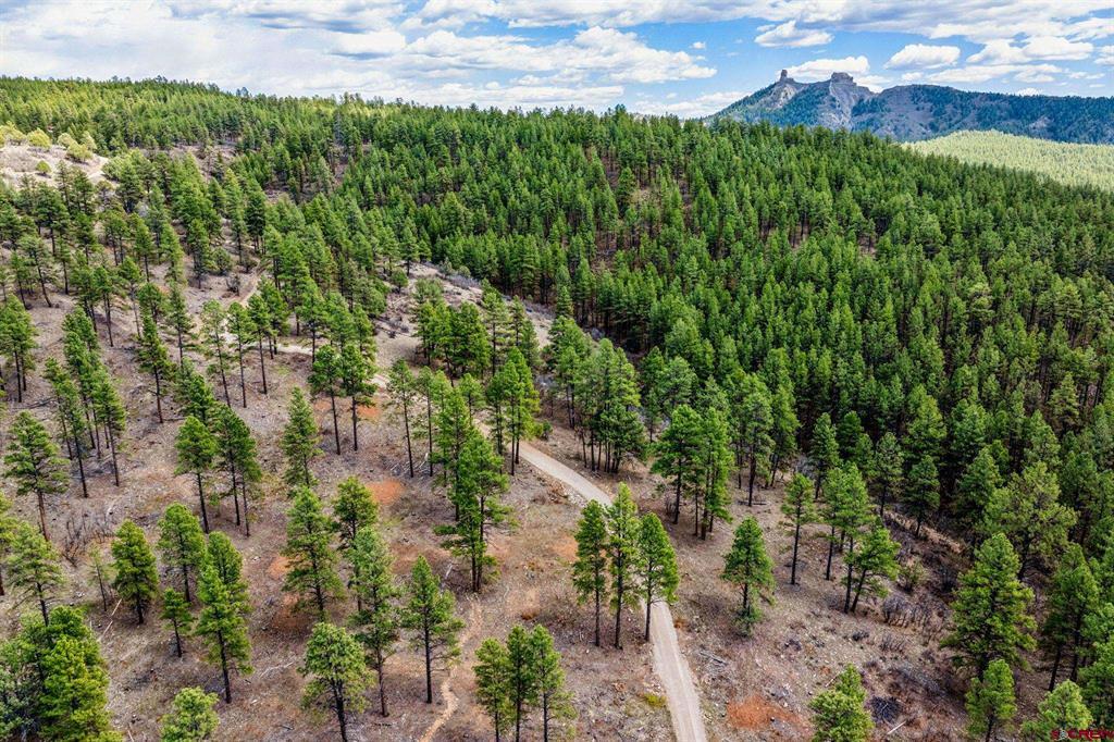 20861 Hwy 160 Property Photo 16