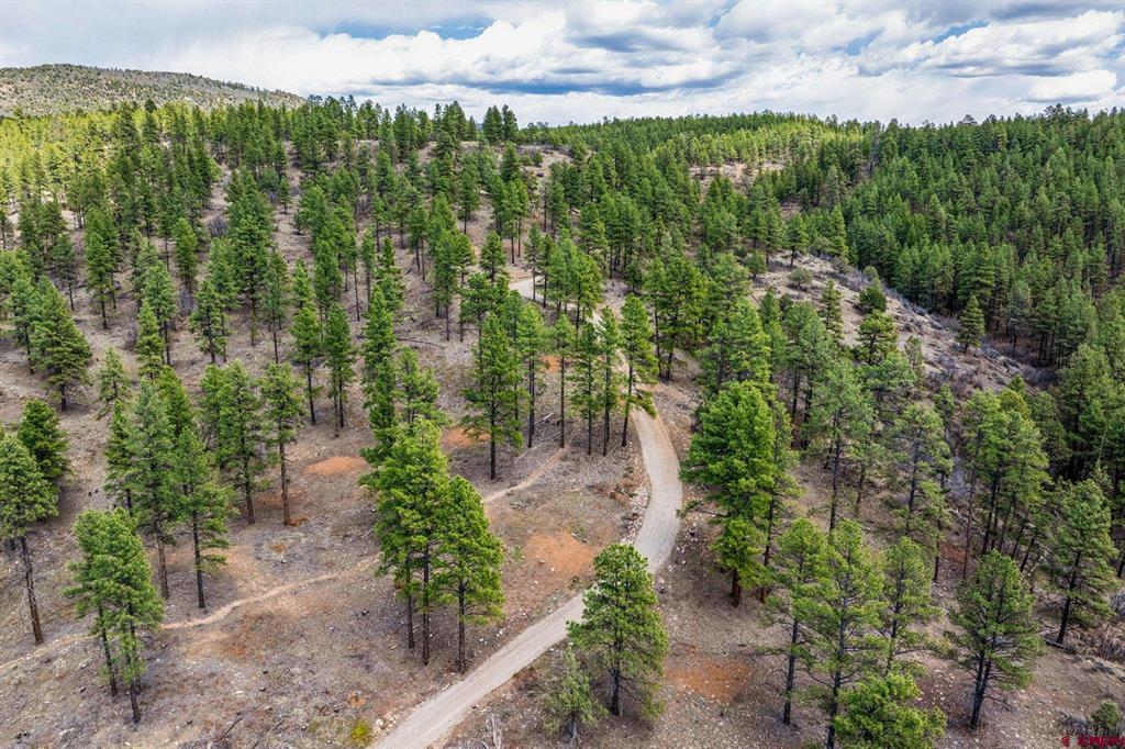 20861 Hwy 160 Property Photo 17