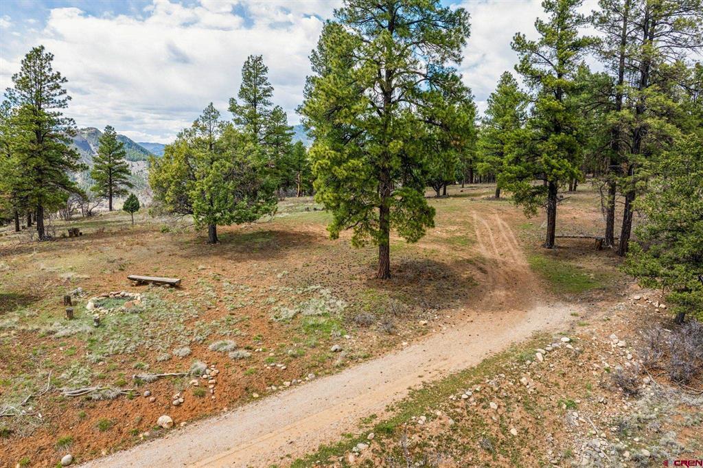 20861 Hwy 160 Property Photo 19