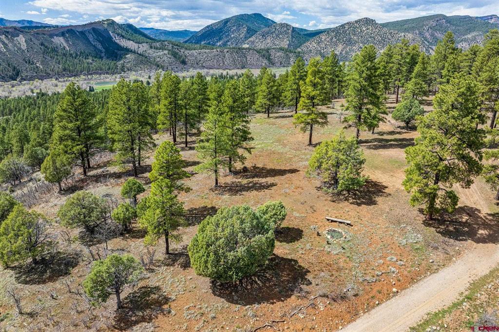 20861 Hwy 160 Property Photo 21