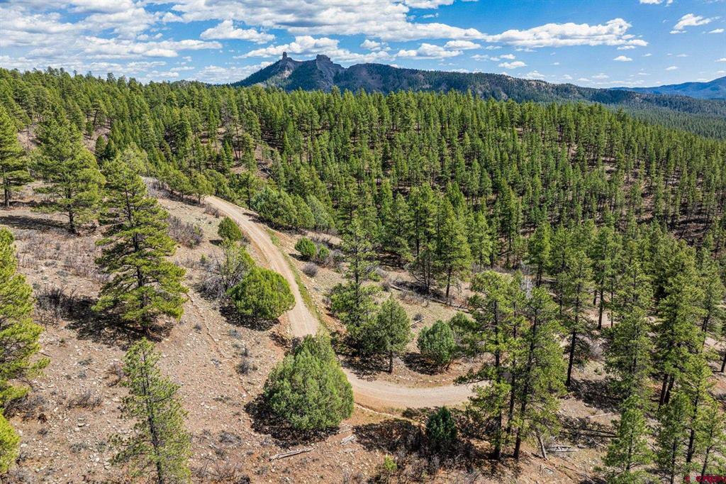 20861 Hwy 160 Property Photo 23