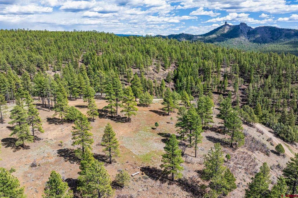 20861 Hwy 160 Property Photo 24