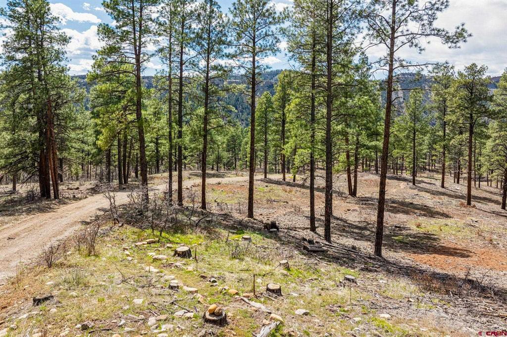 20861 Hwy 160 Property Photo 25