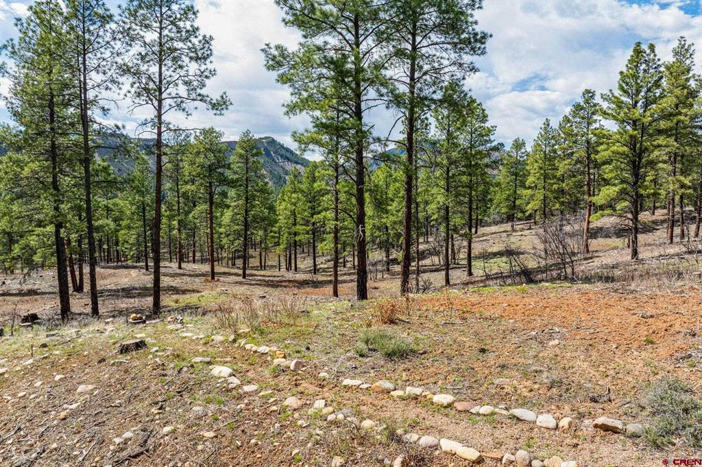 20861 Hwy 160 Property Photo 26