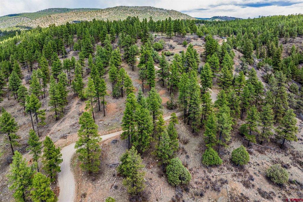 20861 Hwy 160 Property Photo 27
