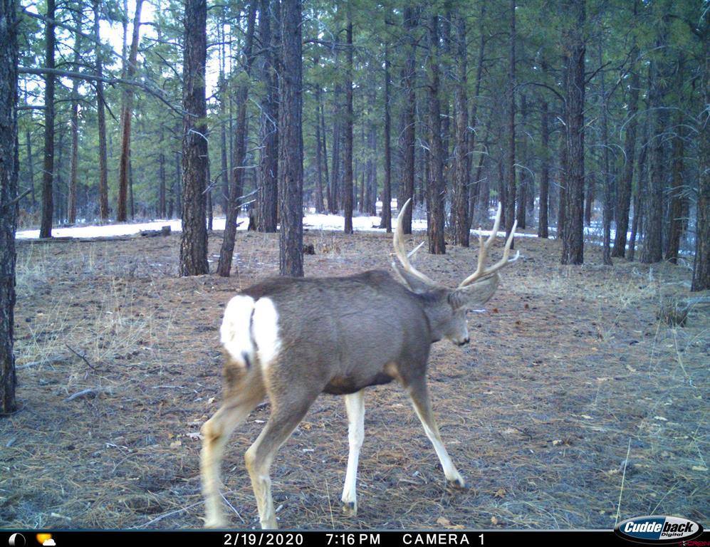 20861 Hwy 160 Property Photo 31