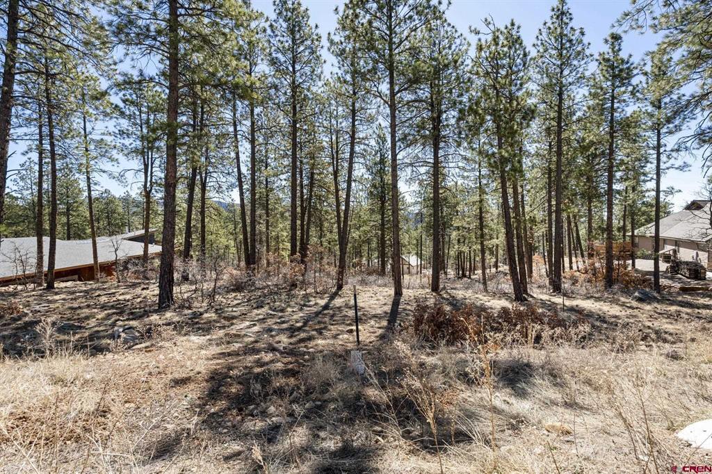 192 Cabin Creek Drive Property Photo 4