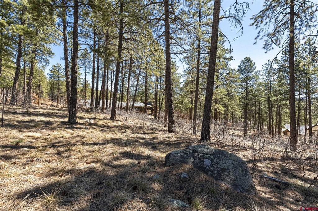 192 Cabin Creek Drive Property Photo 6