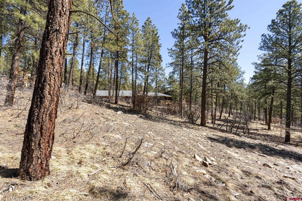 192 Cabin Creek Drive Property Photo 7