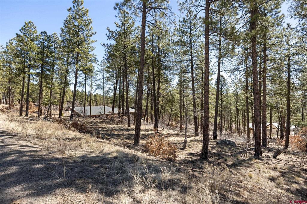 192 Cabin Creek Drive Property Photo 9