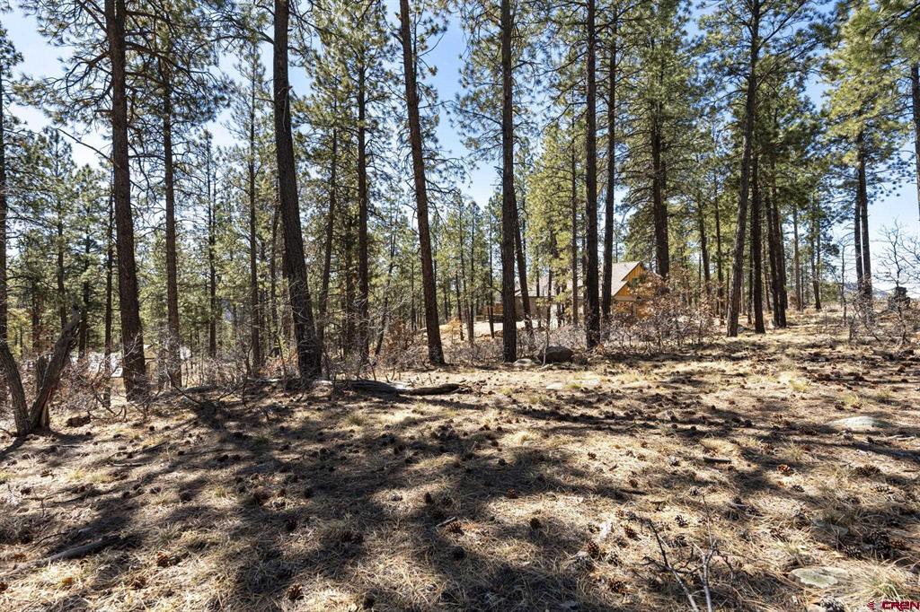 192 Cabin Creek Drive Property Photo 10