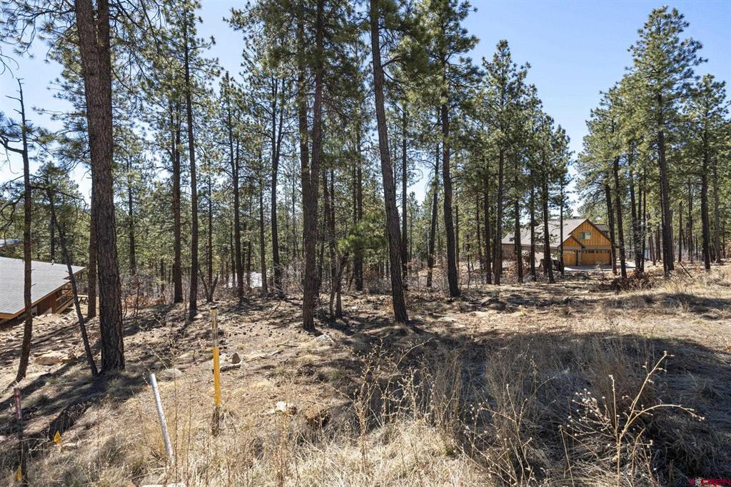 192 Cabin Creek Drive Property Photo 11