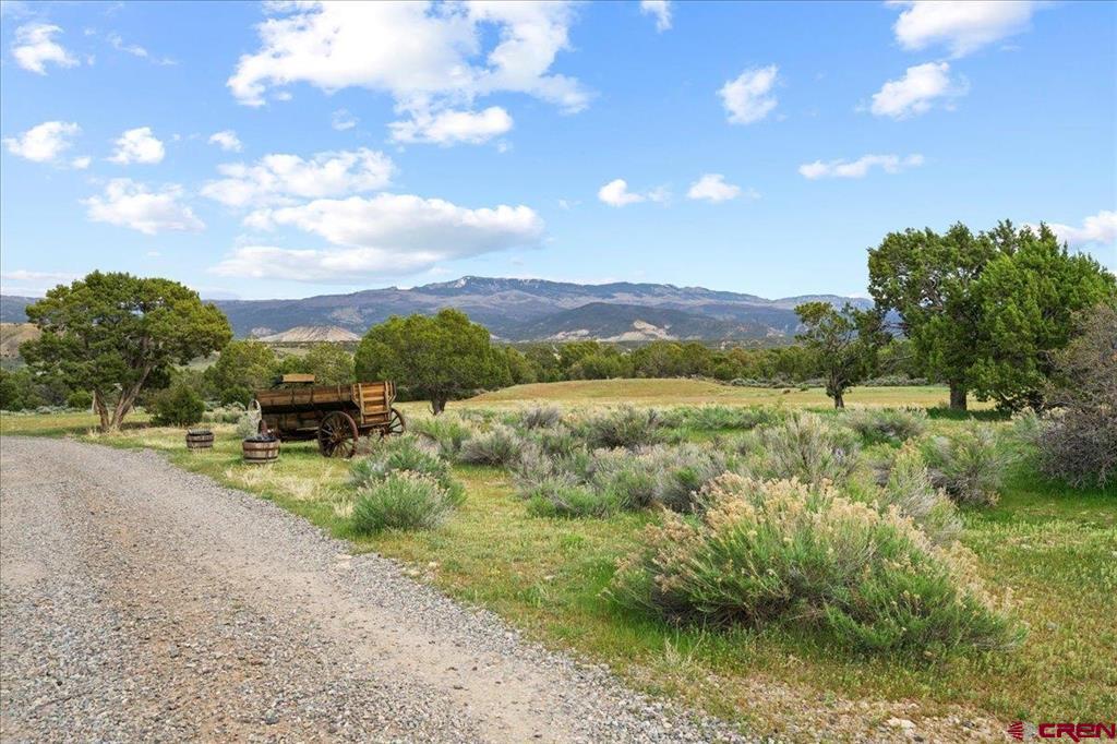 281 Stormy Trail Property Photo 33