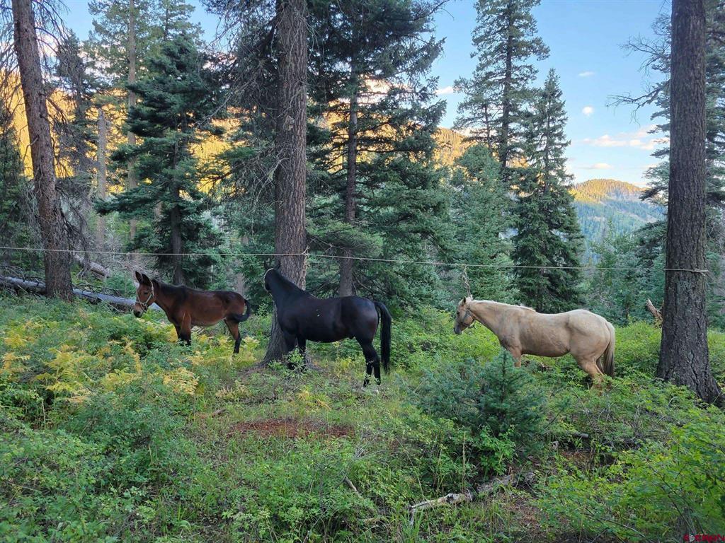 0 Majestic Outfitters, Llc Property Photo 8