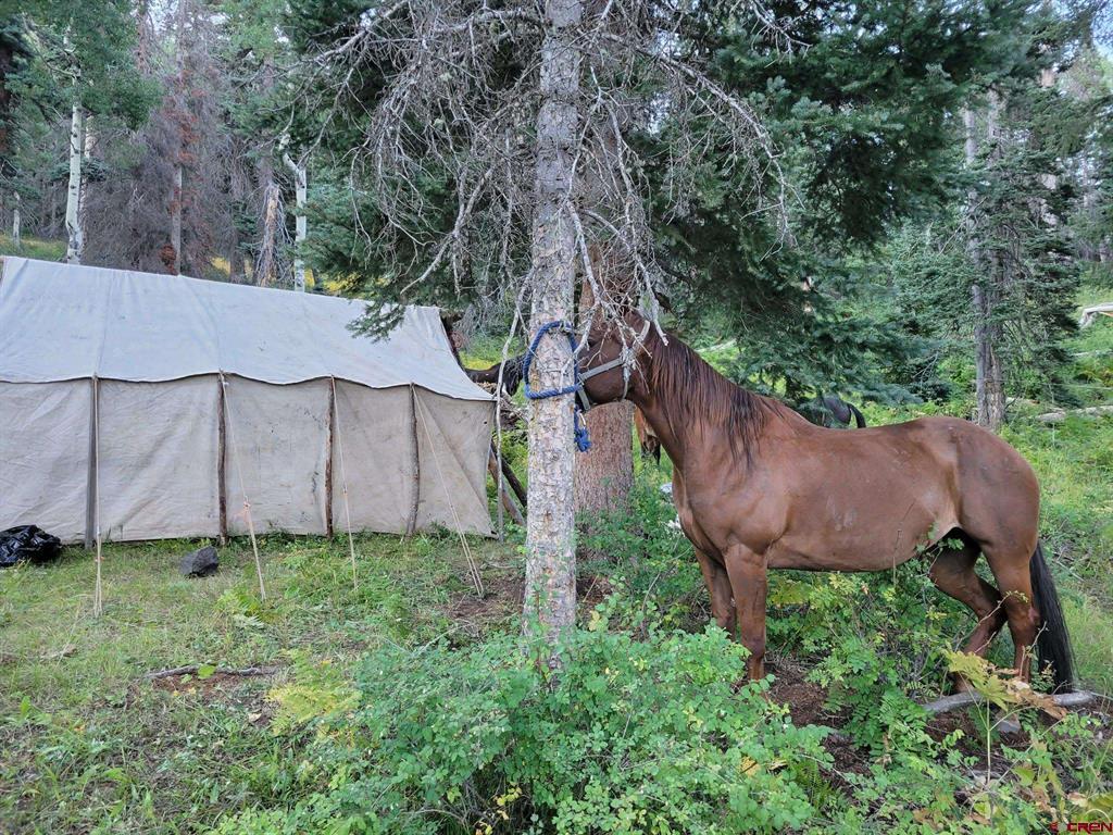 0 Majestic Outfitters, Llc Property Photo 11