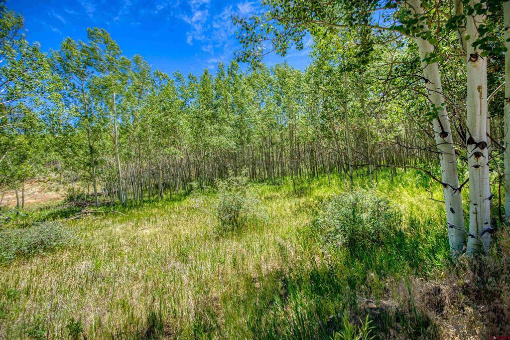 302 Rickel Circle Property Photo 29