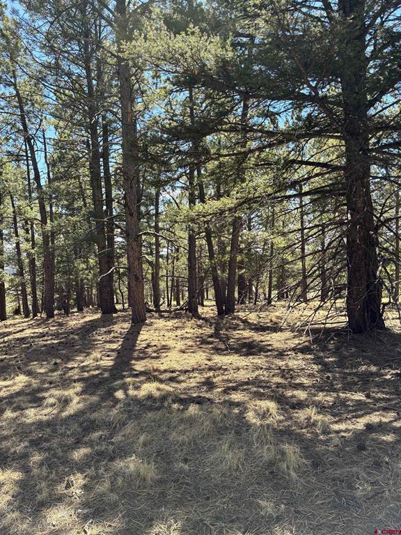 Tbd Nordman Drive Property Photo 10