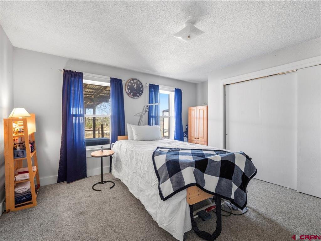 22244 F Road Property Photo 19