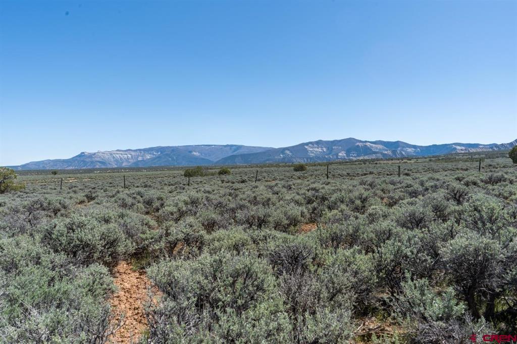 Tbd T Road Property Photo 9