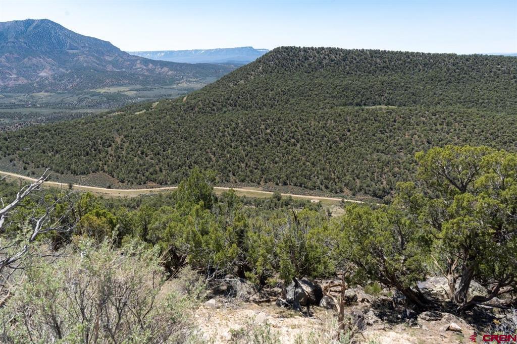 Tbd T Road Property Photo 10