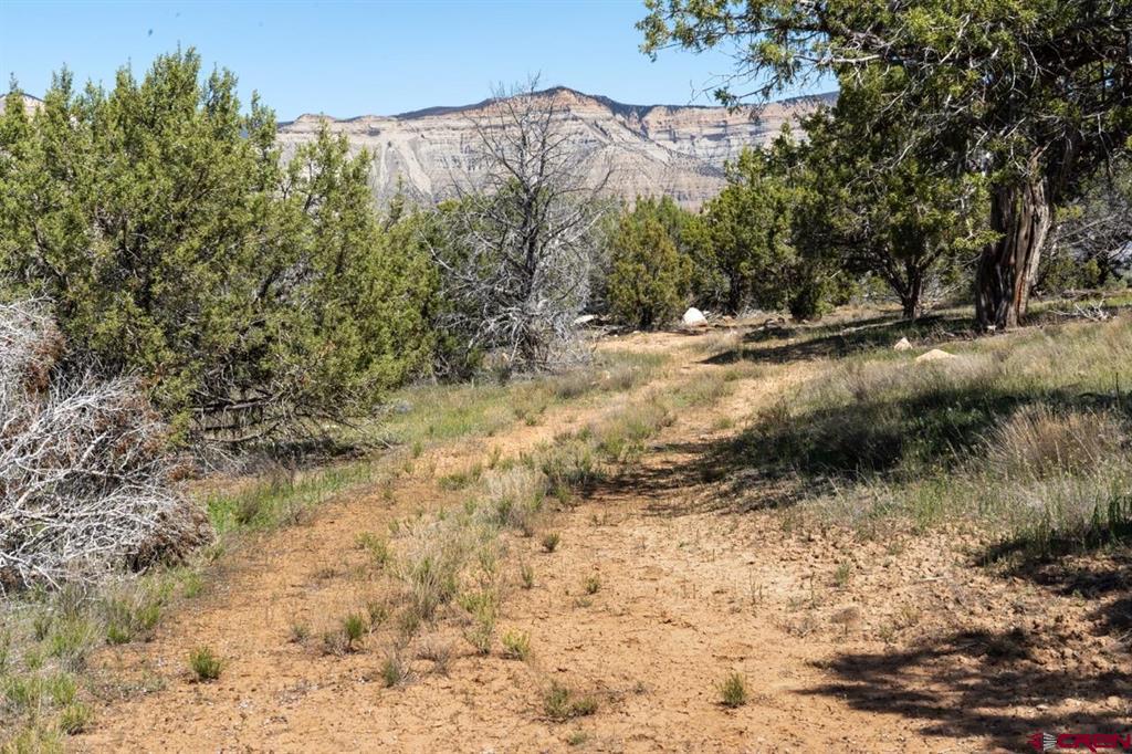 Tbd T Road Property Photo 13