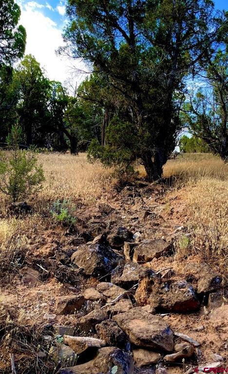 Tbd T Road Property Photo 24