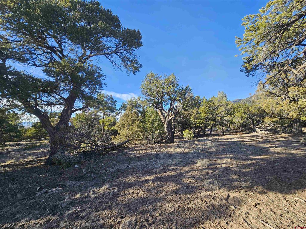 3585 & 3586 Alfresco Way Property Photo 23