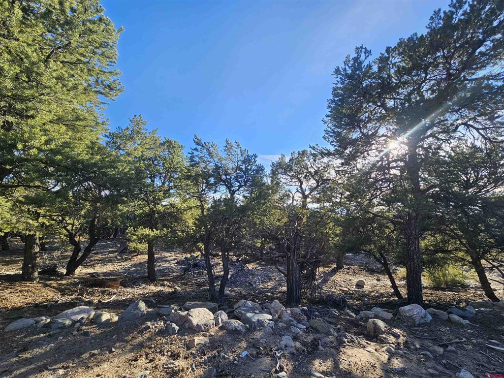 3585 & 3586 Alfresco Way Property Photo 26