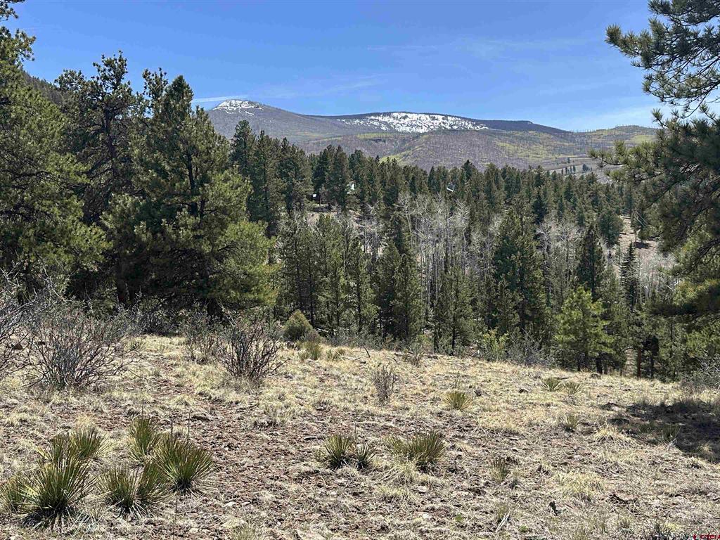 598 N Skyline Drive Property Photo 2