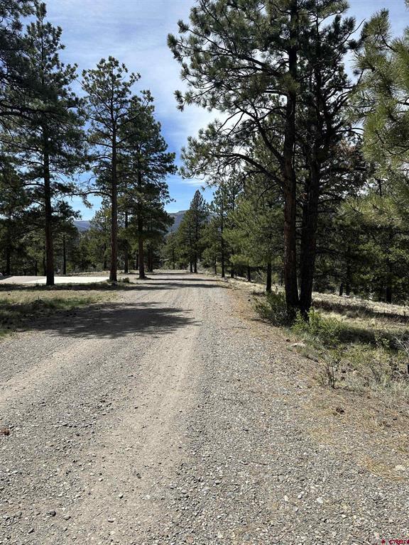 598 N Skyline Drive Property Photo 3