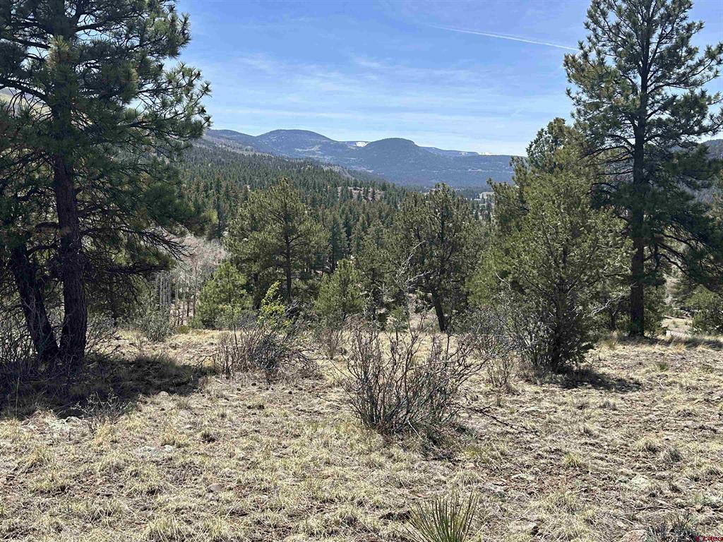 598 N Skyline Drive Property Photo 6