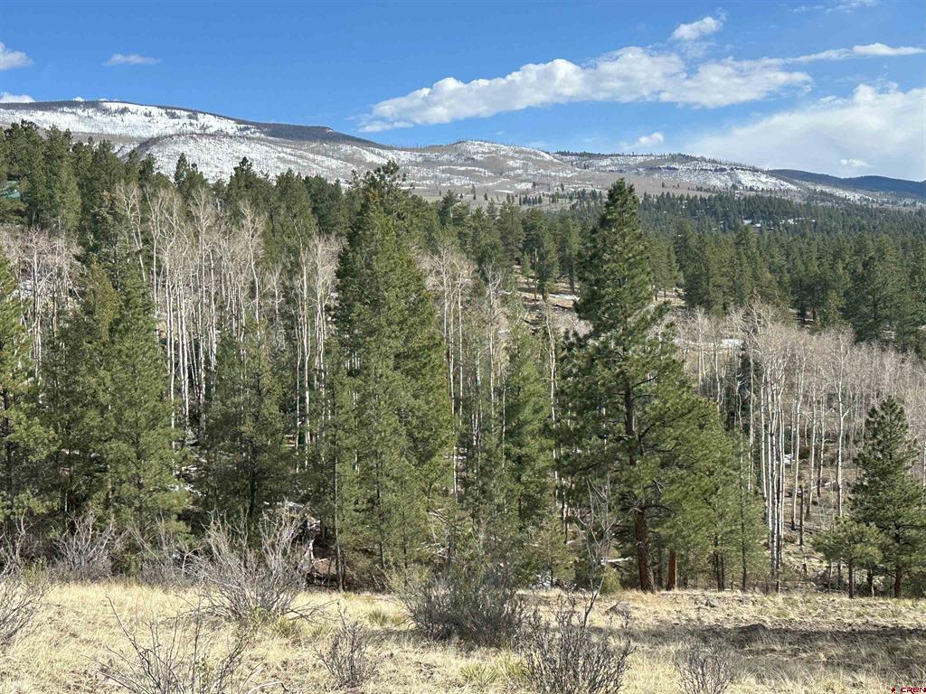 598 N Skyline Drive Property Photo 8