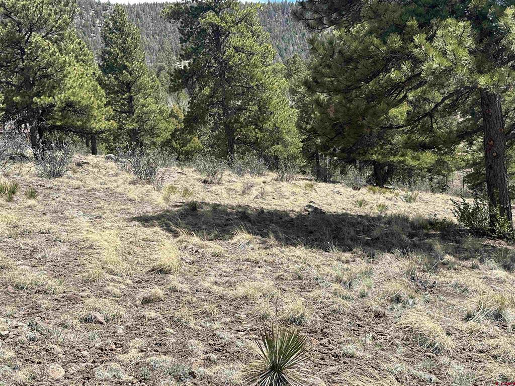598 N Skyline Drive Property Photo 13