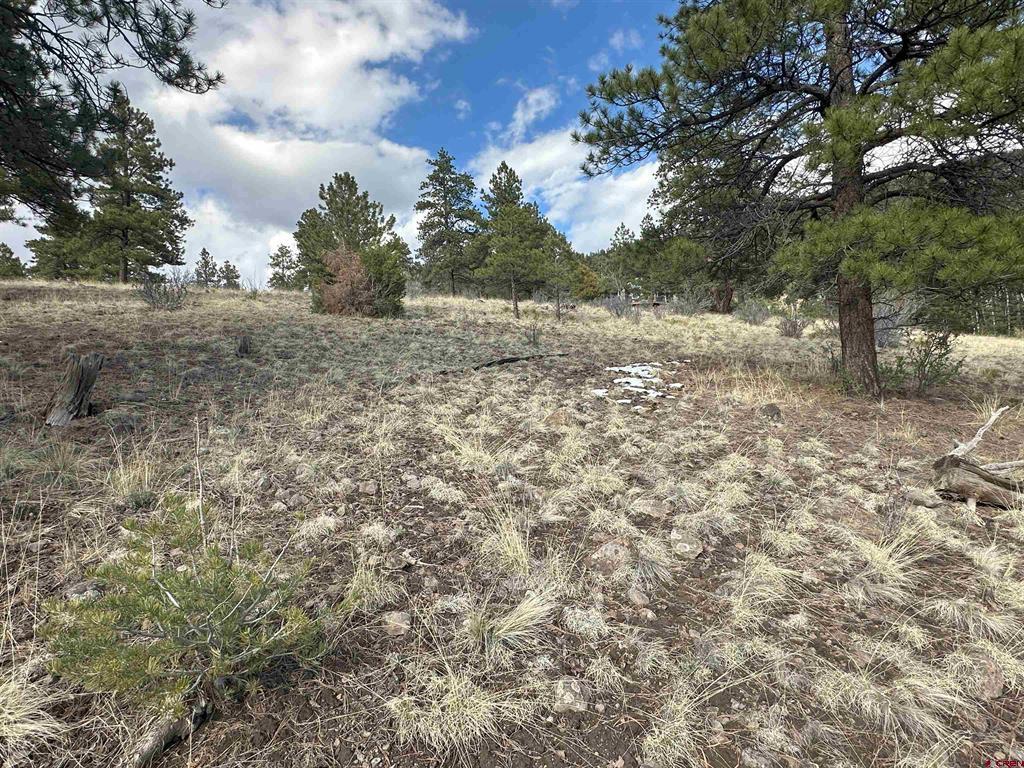 598 N Skyline Drive Property Photo 16