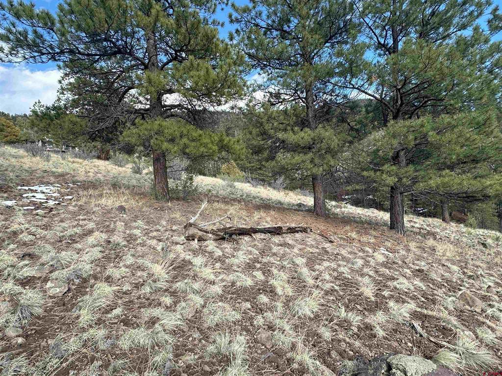 598 N Skyline Drive Property Photo 18