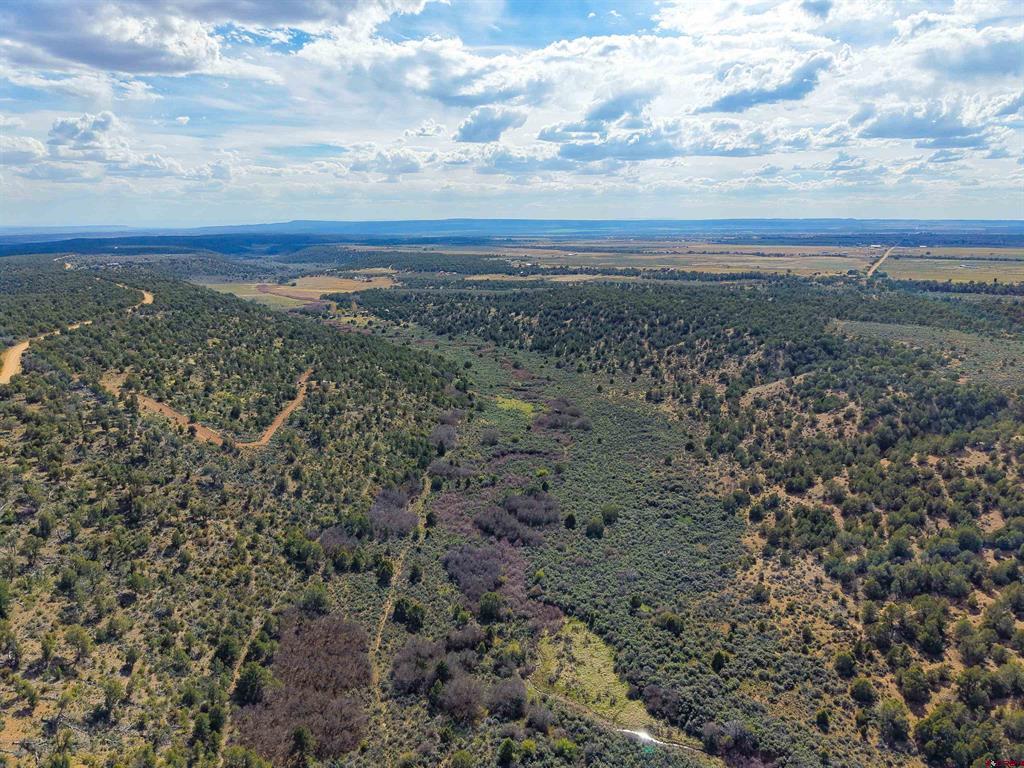 Tbd Cr 136 Property Photo 3