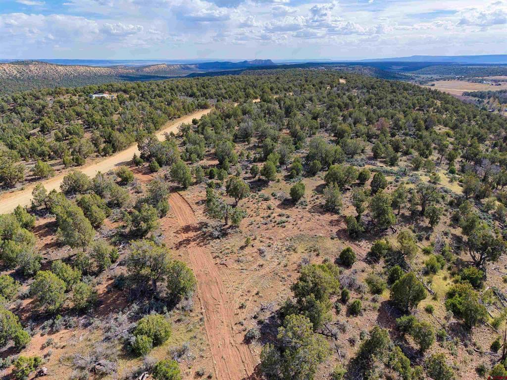 Tbd Cr 136 Property Photo 5