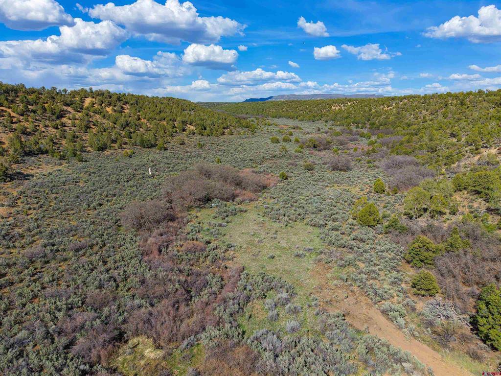 Tbd Cr 136 Property Photo 11